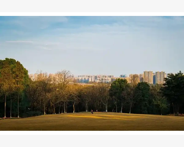 南通会计网平台功能与使用全攻略